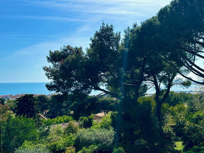 Maison - 234 m² - 9 pièces