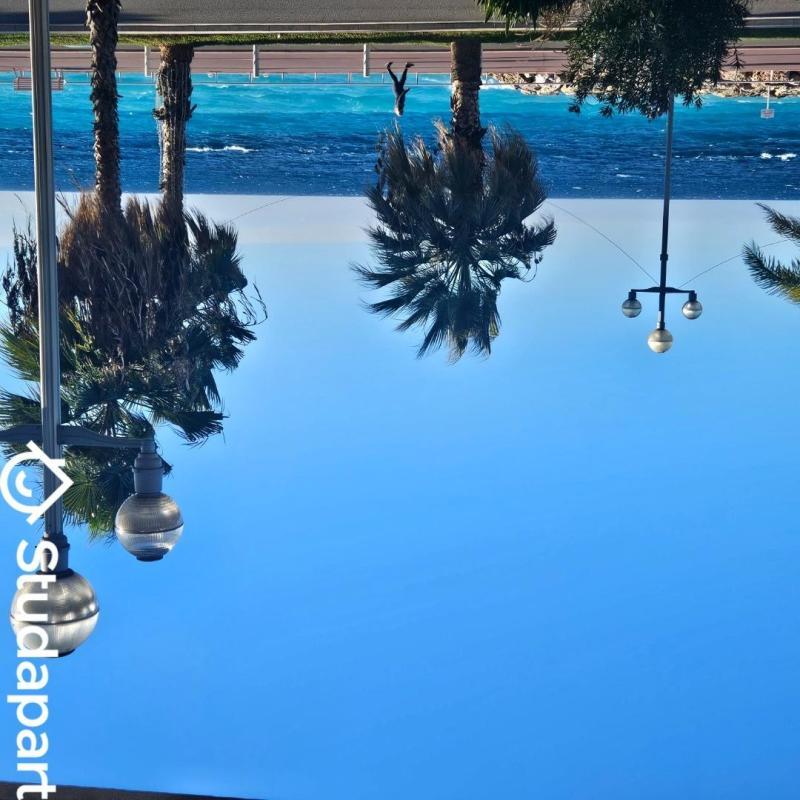 Appartement - 28 m² - 1 pièce