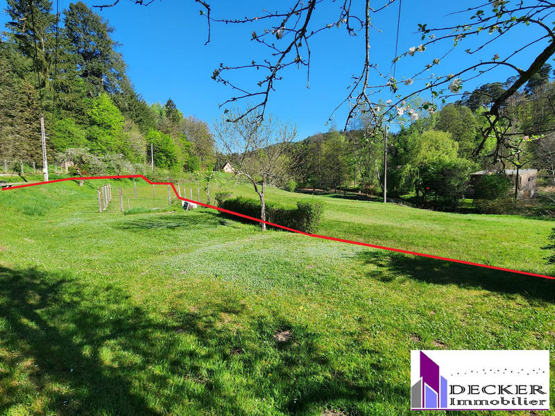 Maison - 239 m² - 10 pièces