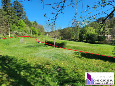 Maison - 239 m² - 10 pièces