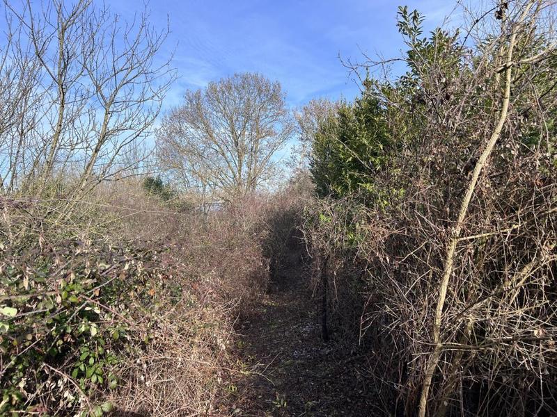 Maison de village - 80 m² - 7 pièces