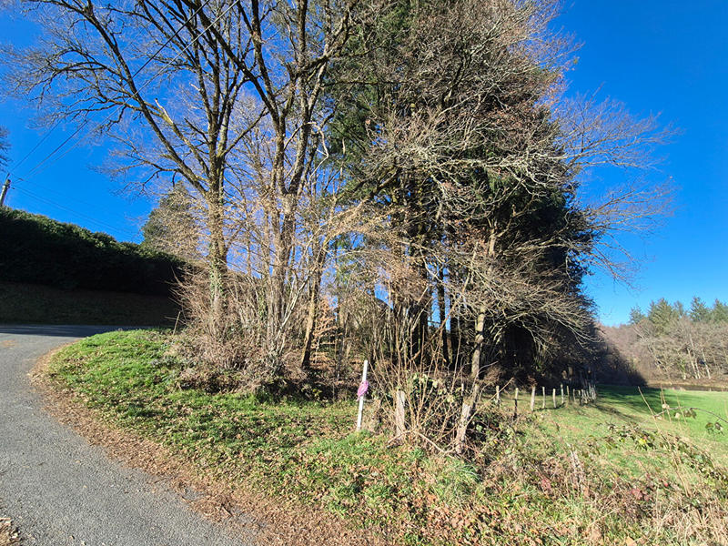 Maison - 33 m² - 2 pièces