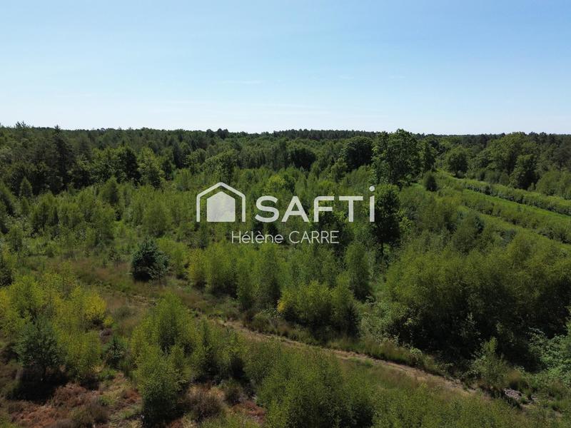 Maison - 237 m² - 11 pièces