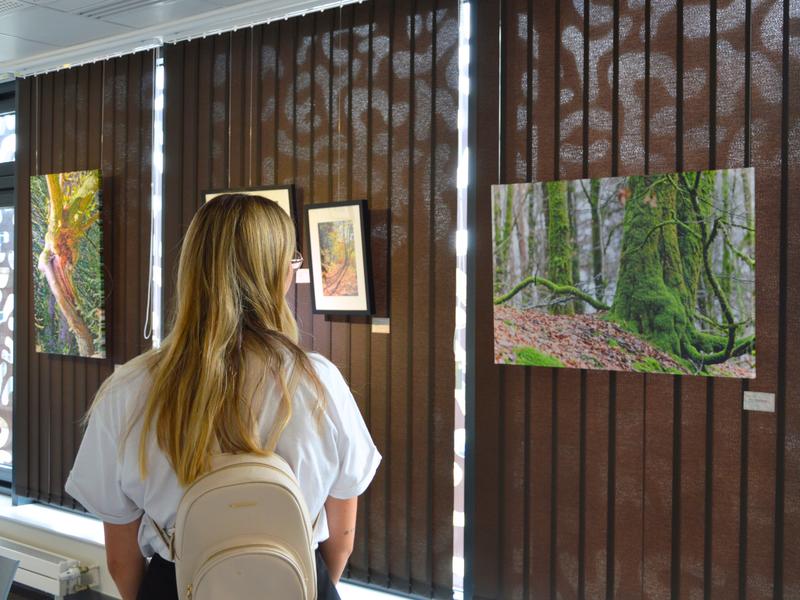 Exposition - Nos villages en images, notre territoire en lumière