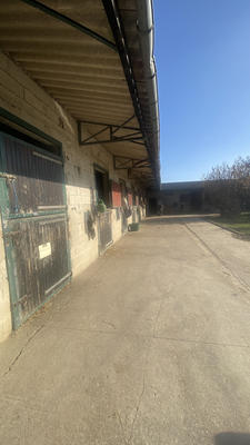 Maison de domaine équestre - 150 m² - 6 pièces