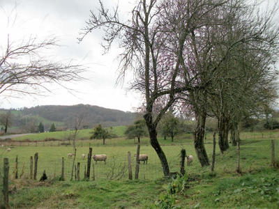 Maison - 85 m² - 3 pièces