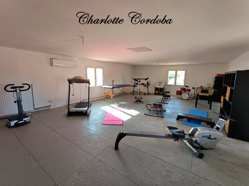 Maison - 253 m² - 9 pièces