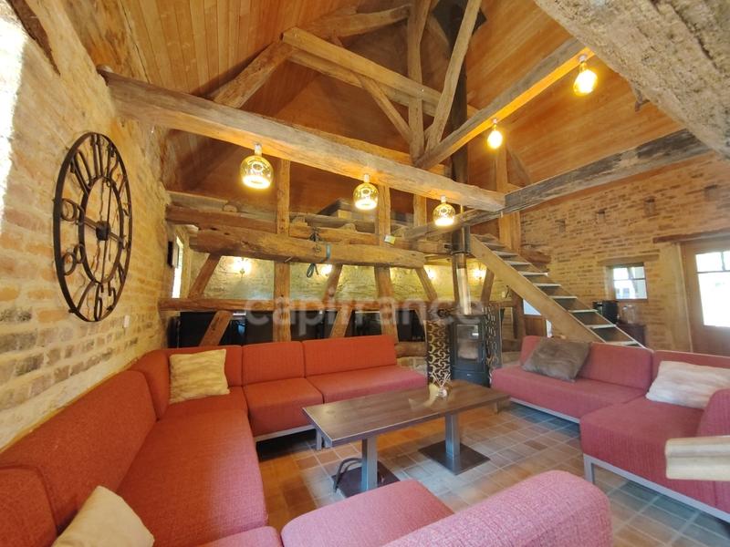 Moulin - 395 m² - 13 pièces