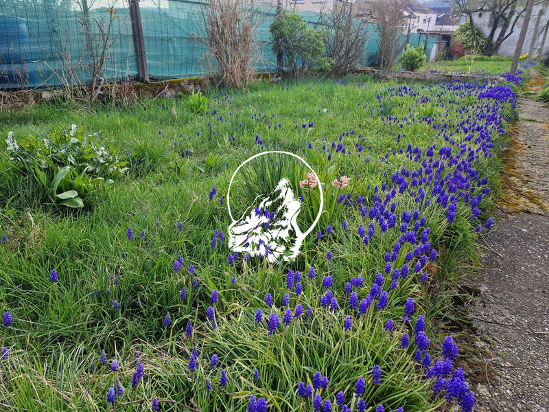 Appartement - 62 m² - 2 pièces