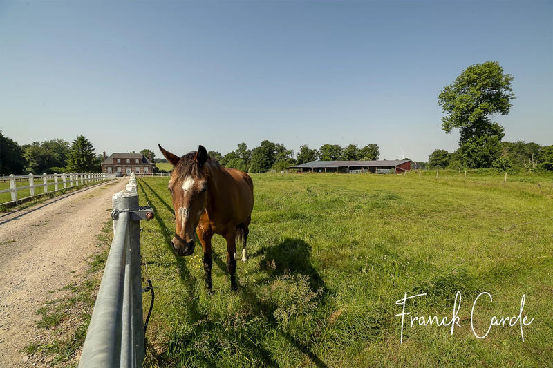 Maison - 135 m² - 7 pièces