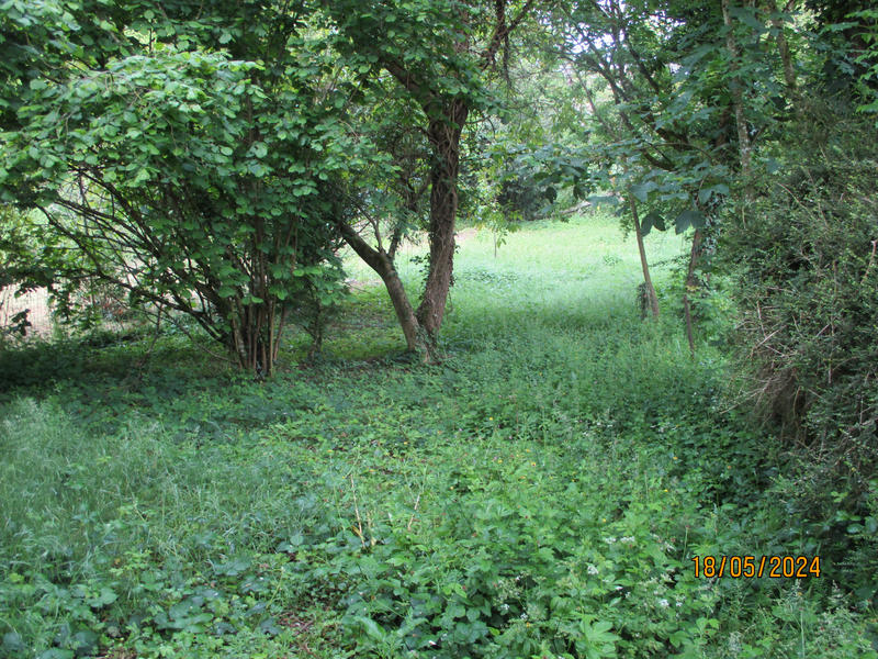 Maison - 262 m² - 9 pièces