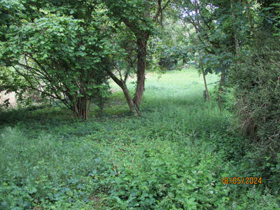 Maison - 262 m² - 9 pièces