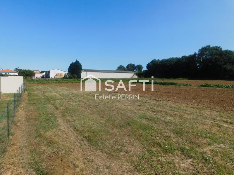 Terrain - 1 557 m²