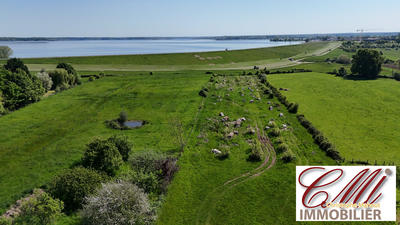 Terrain - 10 137 m²