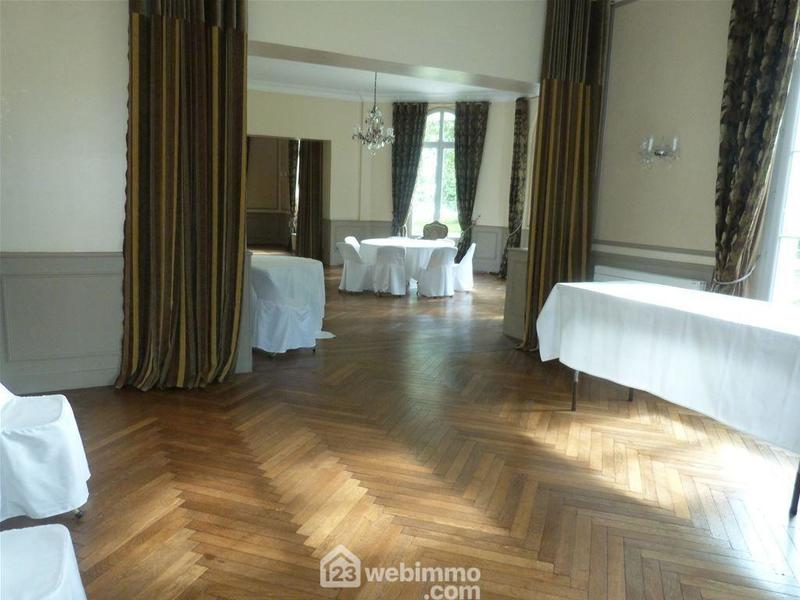 Château - 850 m² - 17 pièces