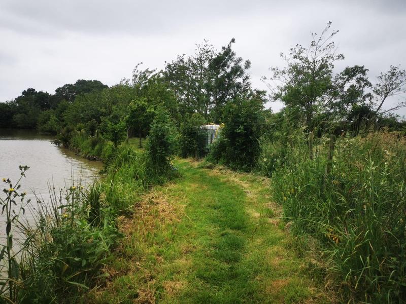 Terrain de loisirs - 9 295 m²