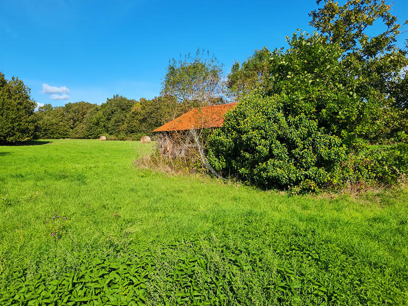 Maison - 39 m² - 2 pièces