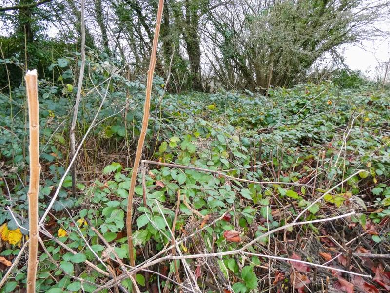 Maison - 180 m² - 5 pièces