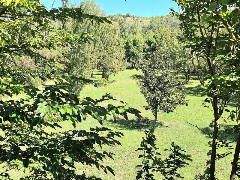 Mas - 159 m² - 6 pièces