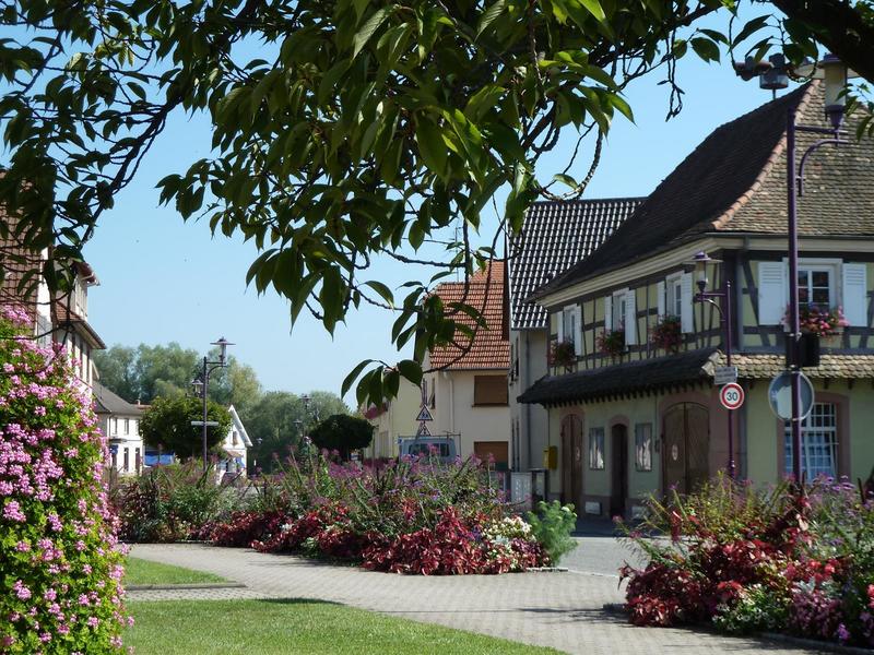 Jeu de piste numérique Tresors du Rhin Offendorf - Freistett