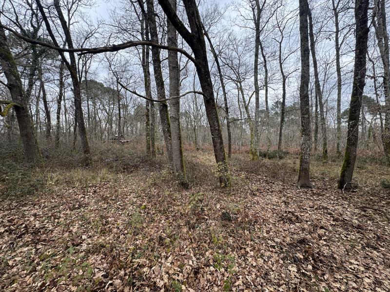 Terrain - 96 131 m²