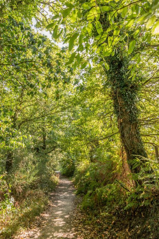 Terrain constructible - 312 m²