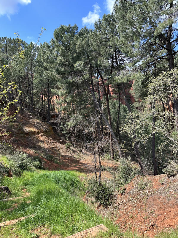 Maison - 150 m² - 4 pièces