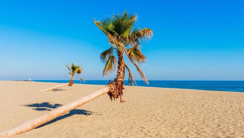 Appartement - 52 m² - 3 pièces