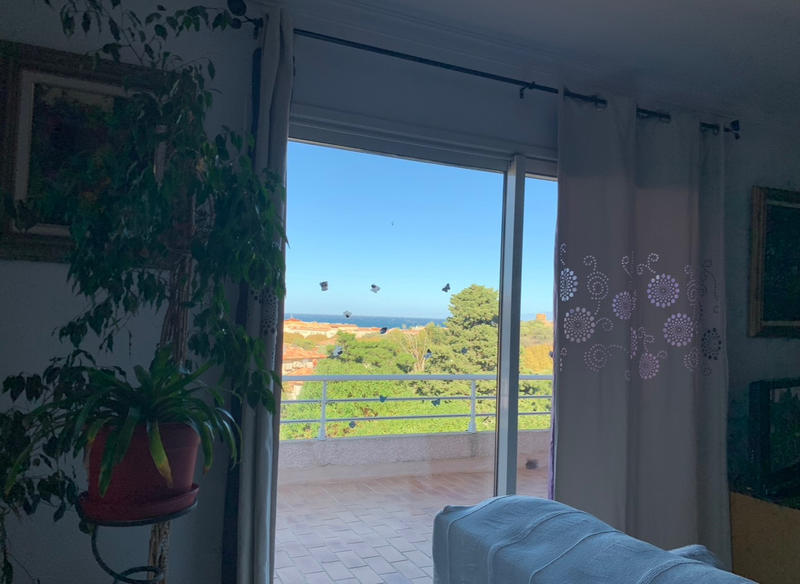 Maison - 217 m² - 8 pièces