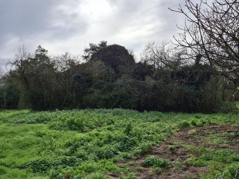 Maison ancienne - 100 m² - 4 pièces