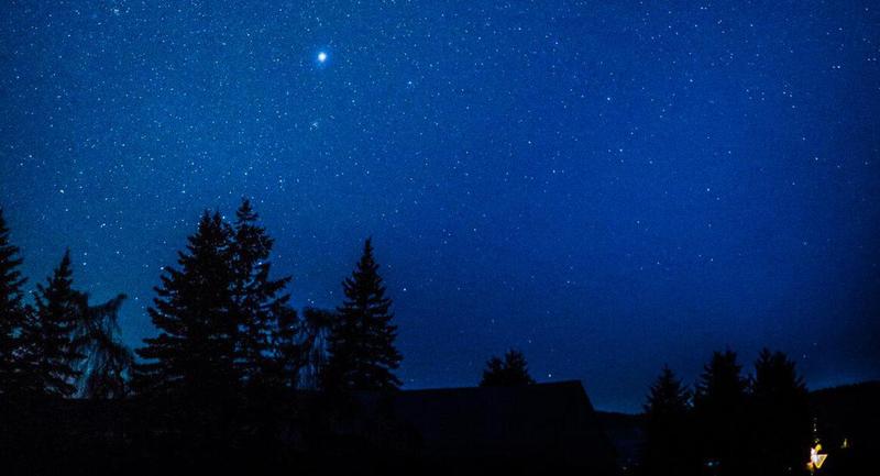 Une nuit à la belle étoile au cœur de la forêt de Bercé !  Avec F. Lasserre