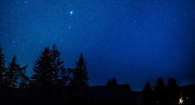 Une nuit à la belle étoile au cœur de la forêt de Bercé !  Avec F. Lasserre