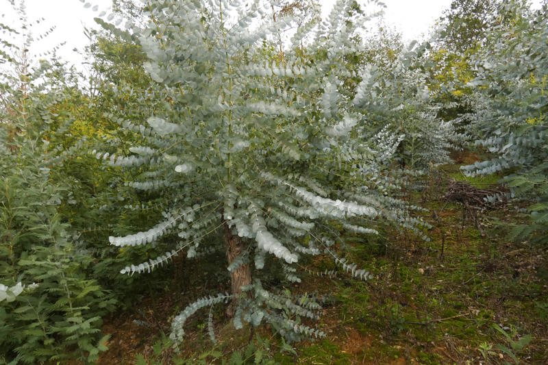 Terrain agricole - 4 855 m²