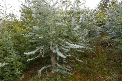 Terrain agricole - 4 855 m²