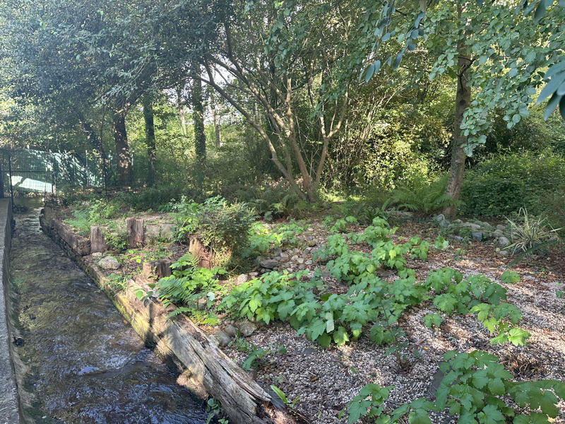 Immeuble - 300 m² - 10 pièces