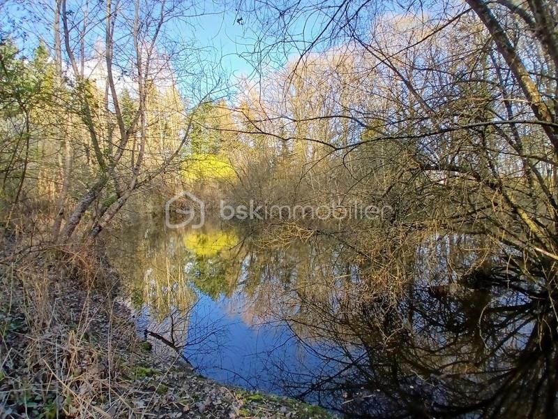 Terrain de loisirs - 10 489 m²