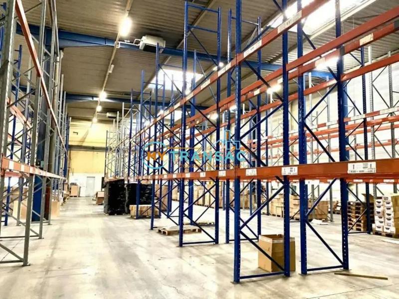 Local d'activité / Entrepôt - 3 699 m²