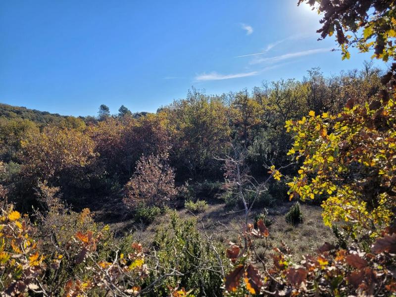 Terrain - 58 900 m²