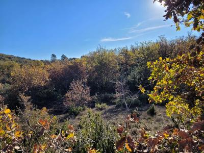 Terrain - 58 900 m²