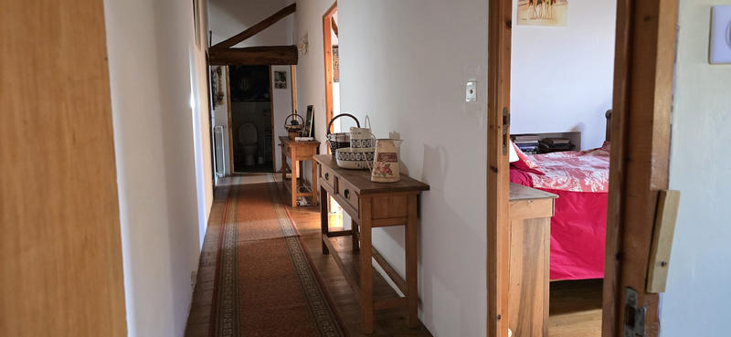 Viager - Maison ancienne - 248 m² - 11 pièces