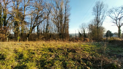 Terrain - 1 447 m²