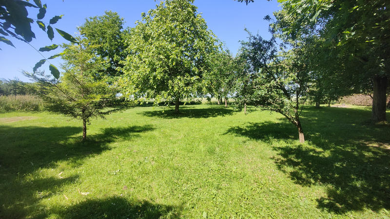 Maison - 167 m² - 6 pièces