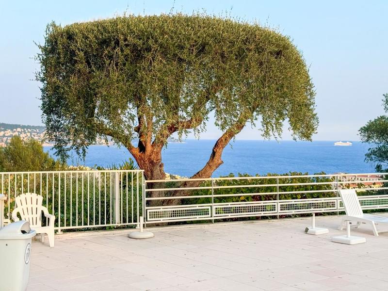 Appartement - 53 m² - 2 pièces