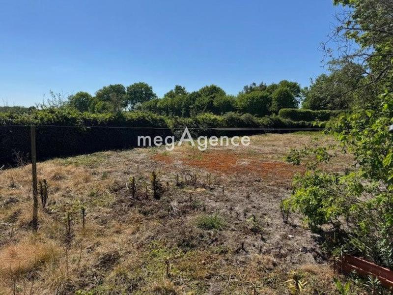 Maison en pierre - 80 m² - 4 pièces