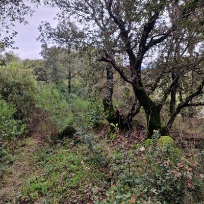 Terrain constructible - 2 032 m²