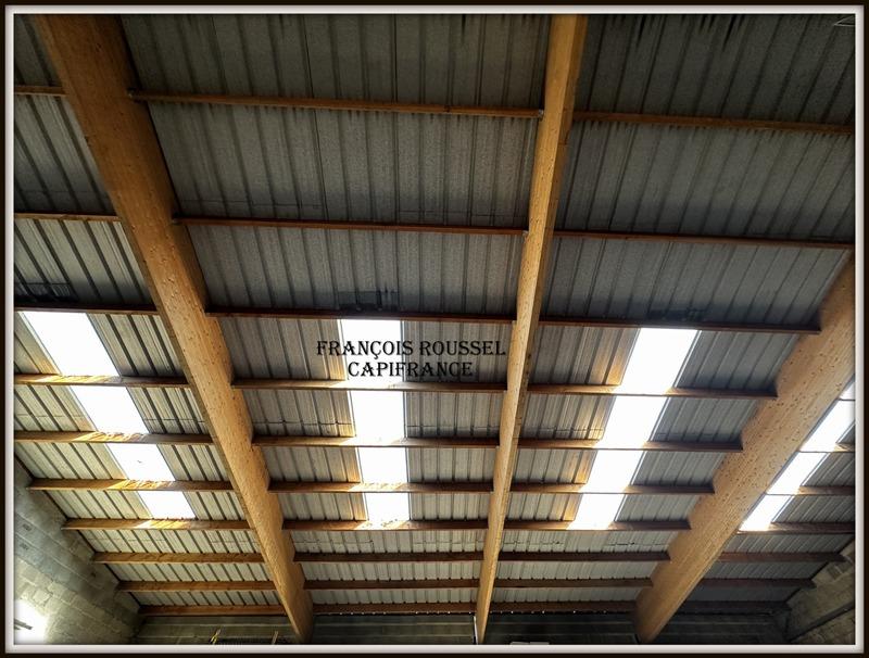 Local d'activité / Entrepôt - 750 m² - 5 pièces