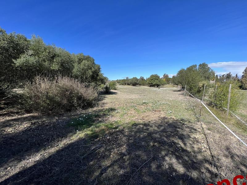 Terrain de loisirs - 7 880 m²