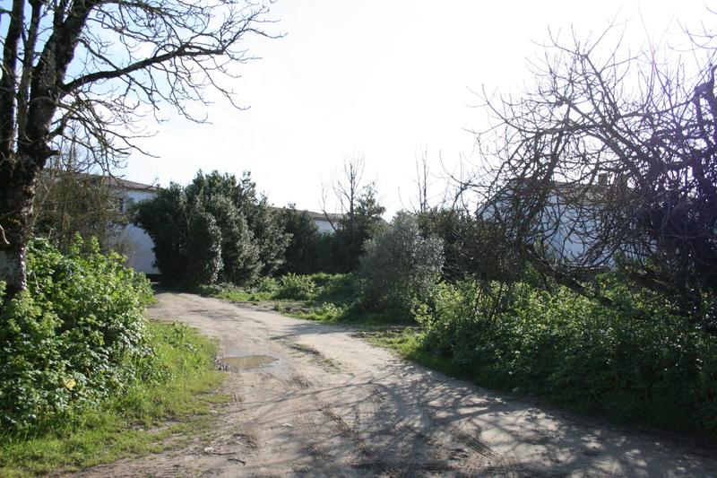 Terrain - 1 678 m²