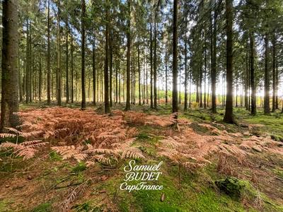 Terrain constructible - 718 m²