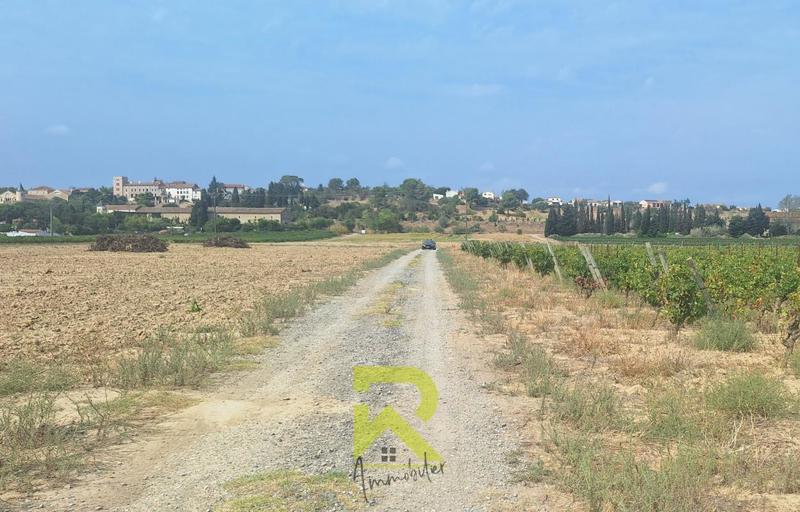 Terrain agricole - 19 800 m²